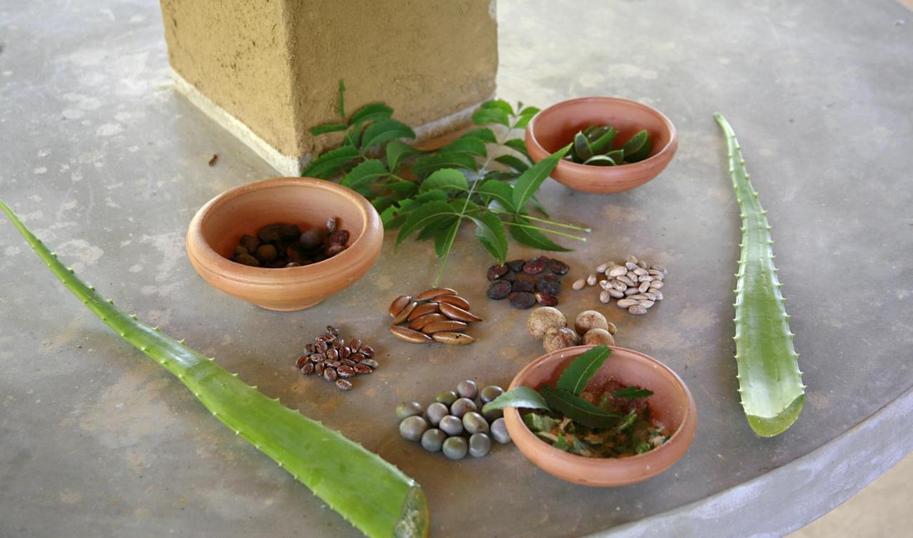 Nature Lanka Ayurveda Resort - All Meals And Ayurveda Treatments With Yoga Tangalle Exteriör bild