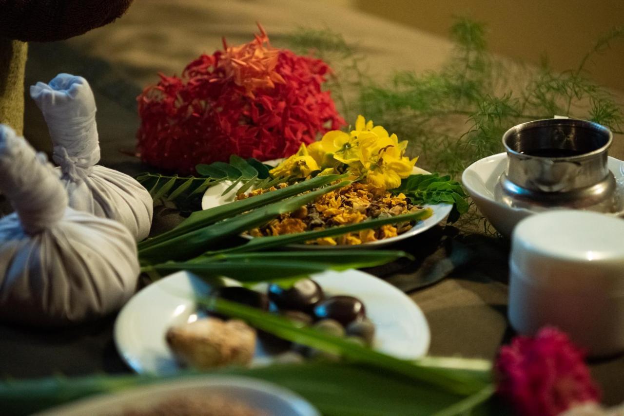 Nature Lanka Ayurveda Resort - All Meals And Ayurveda Treatments With Yoga Tangalle Exteriör bild