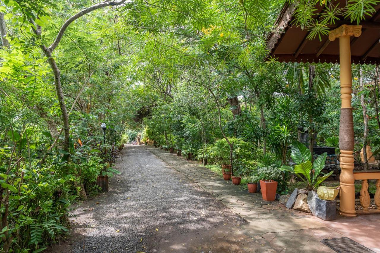 Nature Lanka Ayurveda Resort - All Meals And Ayurveda Treatments With Yoga Tangalle Exteriör bild