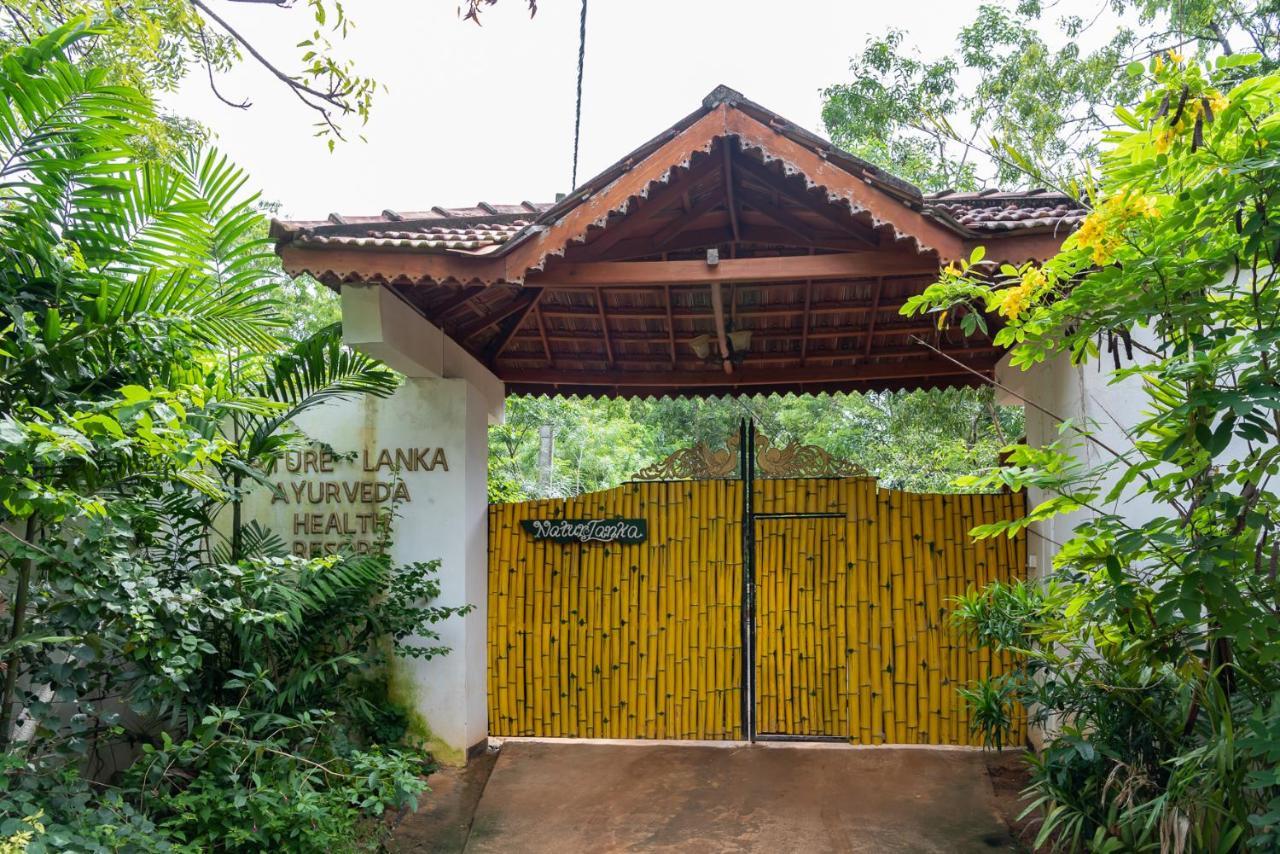 Nature Lanka Ayurveda Resort - All Meals And Ayurveda Treatments With Yoga Tangalle Exteriör bild