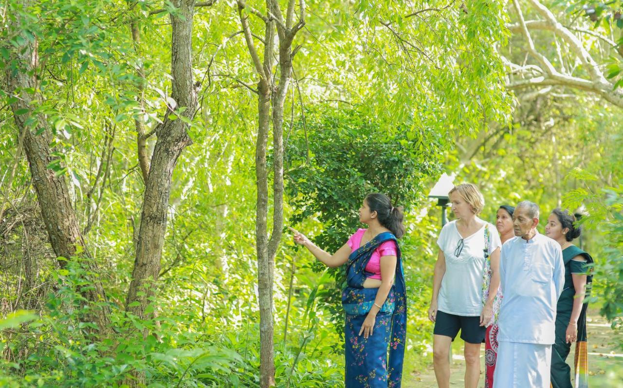 Nature Lanka Ayurveda Resort - All Meals And Ayurveda Treatments With Yoga Tangalle Exteriör bild