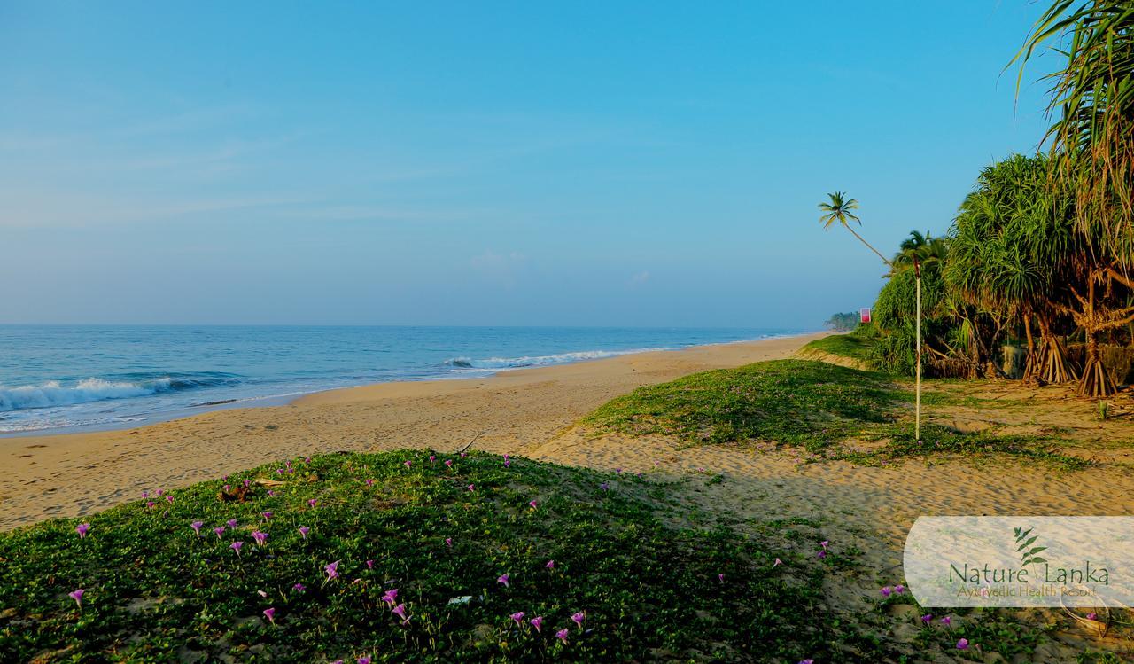 Nature Lanka Ayurveda Resort - All Meals And Ayurveda Treatments With Yoga Tangalle Exteriör bild