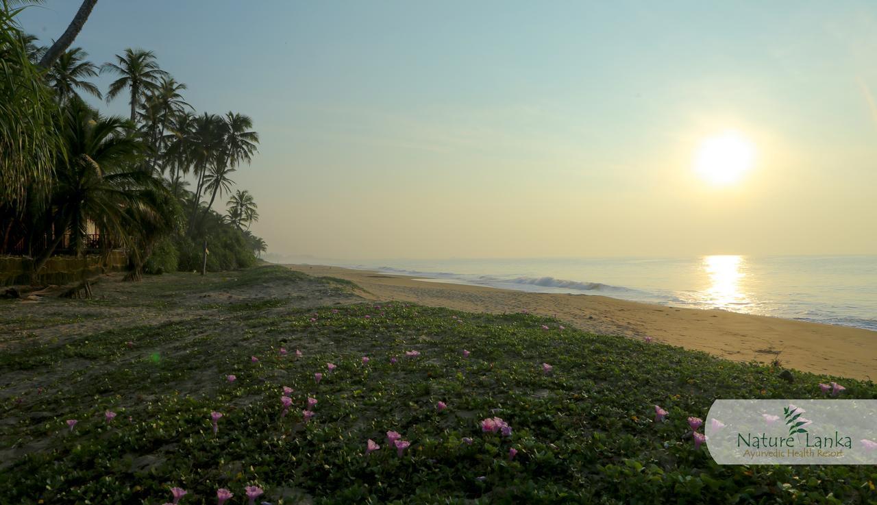 Nature Lanka Ayurveda Resort - All Meals And Ayurveda Treatments With Yoga Tangalle Exteriör bild