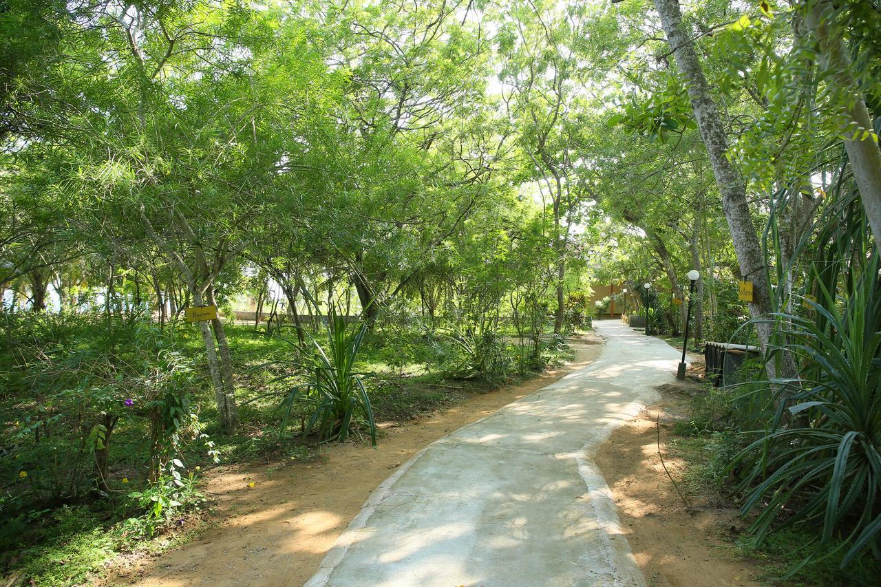 Nature Lanka Ayurveda Resort - All Meals And Ayurveda Treatments With Yoga Tangalle Exteriör bild