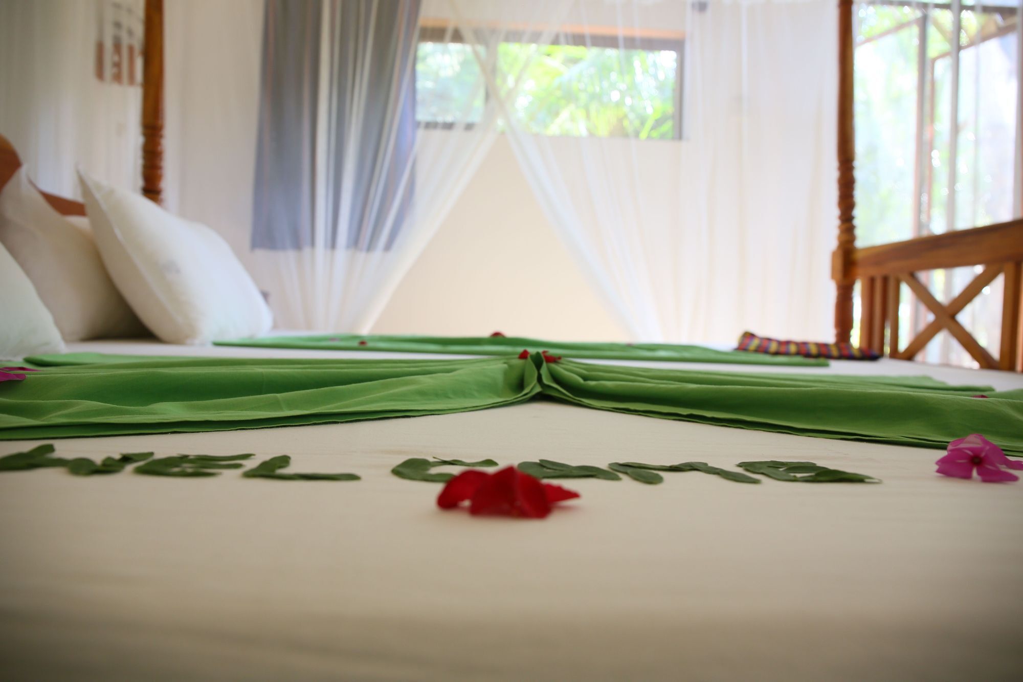 Nature Lanka Ayurveda Resort - All Meals And Ayurveda Treatments With Yoga Tangalle Exteriör bild